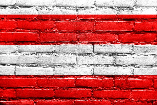 Flag of Brno, Czechia, painted on brick wall — Stock Photo, Image