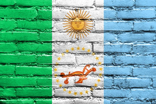 Flag of Chaco Province, Argentina, painted on brick wall — Stock Photo, Image