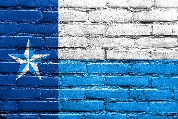 Bandiera della Contea di Dallas, Texas, USA, dipinta su muro di mattoni — Foto Stock