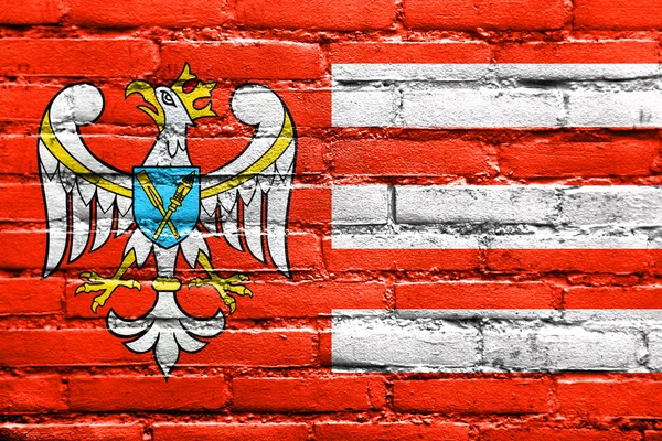Vlajka County Hnězdno, Polsko, maloval na zdi — Stock fotografie