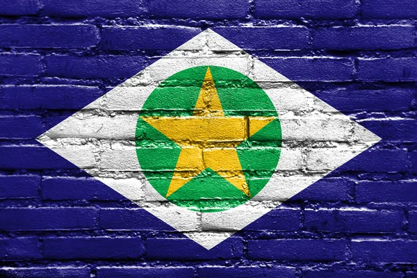 マト ・ グロッソ州、ブラジルの国旗は、レンガの壁に描かれました。 — ストック写真