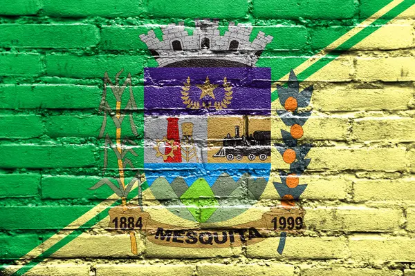 Mesquita, 리오 데 자네이, 브라질, 벽돌 벽에 그려진의 국기 — 스톡 사진