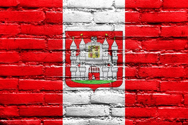 Flag of Mons with Coat of Arms, Belgium, painted on brick wall — Stock Photo, Image
