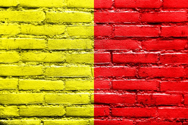 Flag of Orleans, France, painted on brick wall — Stock Photo, Image