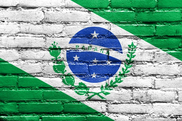 Flagge des Paranastaates, Brasilien, auf Ziegelwand gemalt — Stockfoto