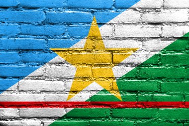 Flag of Roraima State, Brazil, painted on brick wall clipart