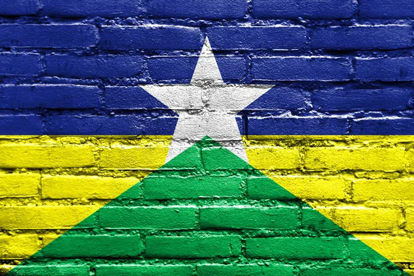 Vlag van de staat van de Rondônia, Brazilië, geschilderd op bakstenen muur — Stockfoto