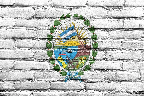 Flag of Rosario, Santa Fe, Argentina, painted on brick wall — Stock Photo, Image