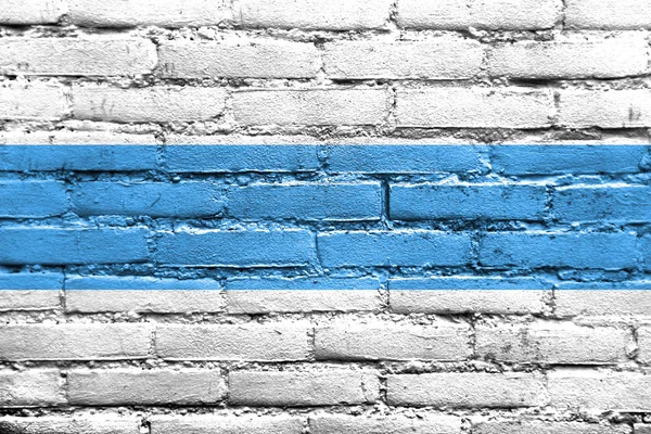 Bandeira da província de Tucuman, Argentina, pintada na parede de tijolos — Fotografia de Stock