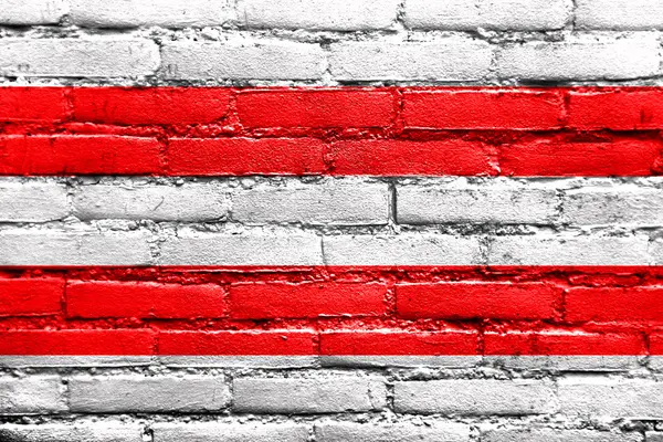 Flag of Usti nad Labem, Czechia, painted on brick wall — Stock Photo, Image