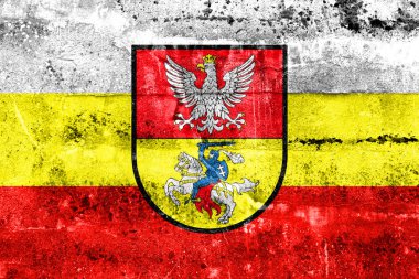 Bialystok, Polonya, bayrağı kirli duvara boyalı