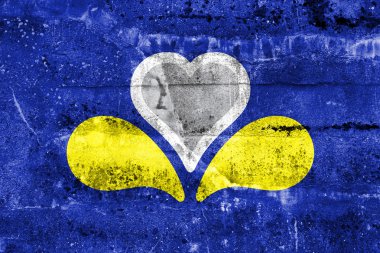 Brüksel Bölgesi, Belçika, bayrağı kirli duvara boyalı