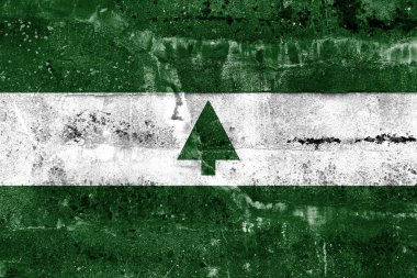 Greenbelt, Maryland, ABD, bayrağı kirli duvara boyalı