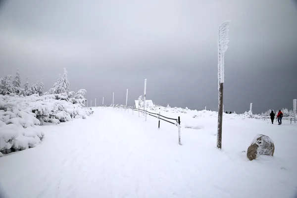 Tourist trail to Sniezka (mountain on the border between the Czech Republic and Poland). Winter landscape. Giant Mountains, Poland, Europe.