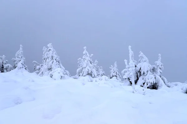 Tourist trail to Sniezka (mountain on the border between the Czech Republic and Poland). Winter landscape. Giant Mountains, Poland, Europe.