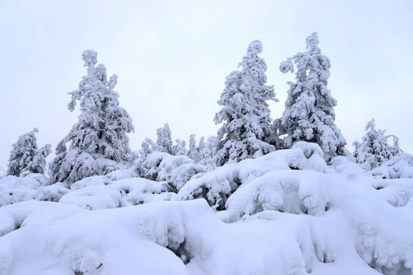 Tourist trail to Sniezka (mountain on the border between the Czech Republic and Poland). Winter landscape. Giant Mountains, Poland, Europe.