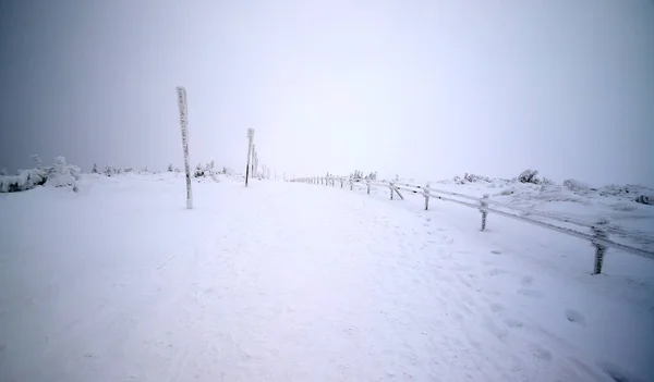 Tourist trail to Sniezka (mountain on the border between the Czech Republic and Poland). Winter landscape. Giant Mountains, Poland, Europe.