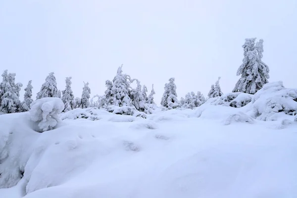 Tourist trail to Sniezka (mountain on the border between the Czech Republic and Poland). Winter landscape. Giant Mountains, Poland, Europe.