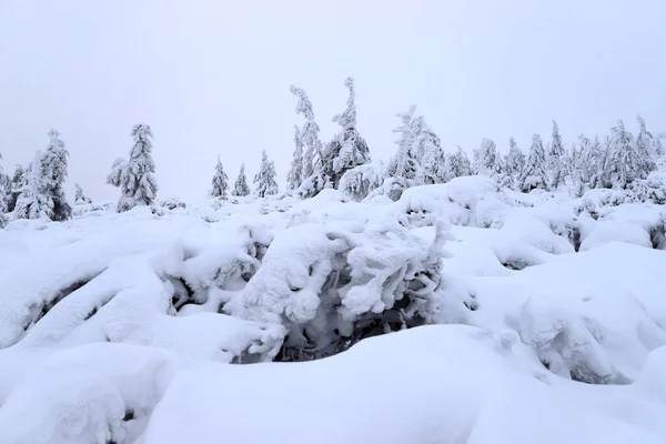 Tourist trail to Sniezka (mountain on the border between the Czech Republic and Poland). Winter landscape. Giant Mountains, Poland, Europe.