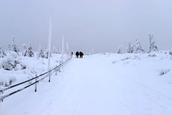 Tourist trail to Sniezka (mountain on the border between the Czech Republic and Poland). Winter landscape. Giant Mountains, Poland, Europe.