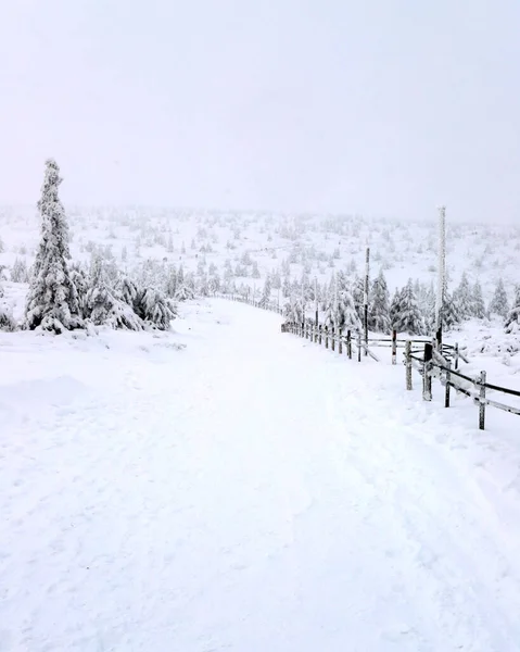 Tourist trail to Sniezka (mountain on the border between the Czech Republic and Poland). Winter landscape. Giant Mountains, Poland, Europe.