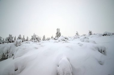 KARPACZ, POLAND - HAZİRAN 06, 2021: Sniezka 'ya giden turist yolu (Çek Cumhuriyeti ile Polonya arasındaki sınırdaki dağ). Kış manzarası. Dev Dağlar, Polonya, Avrupa.