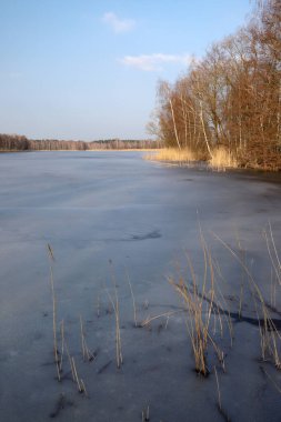 WROClaw, POLAND - 22 Şubat 2021: donmuş göl manzarası. Milicz Göletleri (Lehçe: Stawy Milickie). Barycz Vadisi Peyzaj Parkı 'ndaki Doğa Rezervi. Daha Düşük Silezya Voyvoda, Polonya, Avrupa.