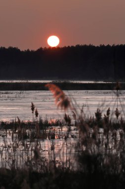 WROClaw, POLAND - 22 Şubat 2021: donmuş bir gölün üzerinde güzel bir günbatımı. Milicz Göletleri (Lehçe: Stawy Milickie). Barycz Vadisi Peyzaj Parkı, Polonya, Avrupa 'daki Doğa Rezervi.