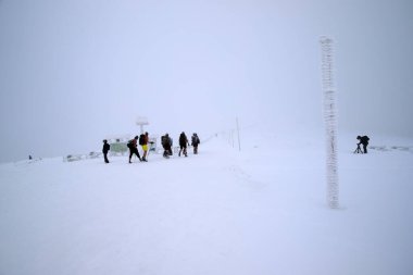 KARPACZ, POLAND - 06 Ocak 2021: dağ sığınağı Dom Slaski. Bir grup çıplak turist kışın ortasında Sniezka Dağı 'na yürüyor. Dev Dağlar, Polonya, Avrupa.