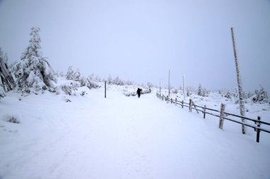 KARPACZ, POLAND - HAZİRAN 06, 2021: Sniezka 'ya giden turist yolu (Çek Cumhuriyeti ile Polonya arasındaki sınırdaki dağ). Kış manzarası. Dev Dağlar, Polonya, Avrupa.