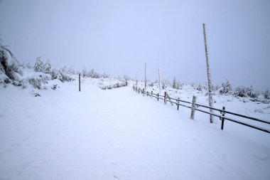 KARPACZ, POLAND - HAZİRAN 06, 2021: Sniezka 'ya giden turist yolu (Çek Cumhuriyeti ile Polonya arasındaki sınırdaki dağ). Kış manzarası. Dev Dağlar, Polonya, Avrupa.