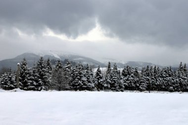 KARPACZ, POLAND - 07 Ocak 2021: Karpacz civarından güzel kış manzarası. Dev Dağlar, Polonya, Avrupa.