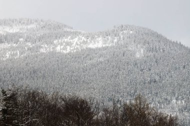 KARPACZ, POLAND - 07 Ocak 2021: Karpacz civarından güzel kış manzarası. Dev Dağlar, Polonya, Avrupa.