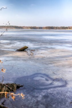WROClaw, POLAND - 22 Şubat 2021: donmuş göl manzarası. Milicz Göletleri (Lehçe: Stawy Milickie). Barycz Vadisi Peyzaj Parkı 'ndaki Doğa Rezervi. Daha Düşük Silezya Voyvoda, Polonya, Avrupa.