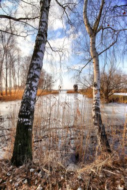 WROCLAW, POLAND - 22 Şubat 2021: Milicz Göletleri (Polonyalı: Stawy Milickie). Barycz Vadisi Peyzaj Parkı 'ndaki Doğa Rezervi. Daha Düşük Silezya Voyvoda, Polonya, Avrupa.