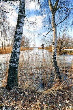 WROClaw, POLAND - 22 Şubat 2021: donmuş göl manzarası. Milicz Göletleri (Lehçe: Stawy Milickie). Barycz Vadisi Peyzaj Parkı 'ndaki Doğa Rezervi. Daha Düşük Silezya Voyvoda, Polonya, Avrupa.