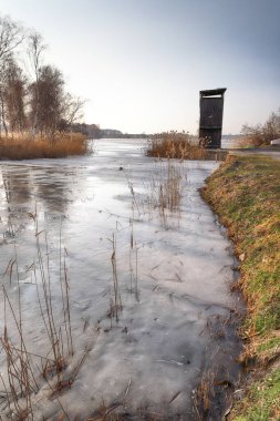 WROClaw, POLAND - 22 Şubat 2021: donmuş göl manzarası. Milicz Göletleri (Lehçe: Stawy Milickie). Barycz Vadisi Peyzaj Parkı 'ndaki Doğa Rezervi. Daha Düşük Silezya Voyvoda, Polonya, Avrupa.