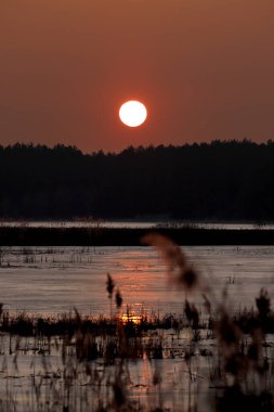 WROClaw, POLAND - 22 Şubat 2021: donmuş bir gölün üzerinde güzel bir günbatımı. Milicz Göletleri (Lehçe: Stawy Milickie). Barycz Vadisi Peyzaj Parkı, Polonya, Avrupa 'daki Doğa Rezervi.