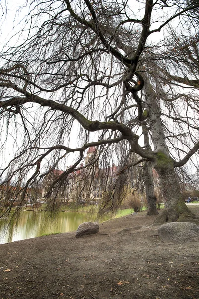 Wroclaw Poland March 2021 Pond Park Faculty Architecture Wroclaw Technology — 스톡 사진