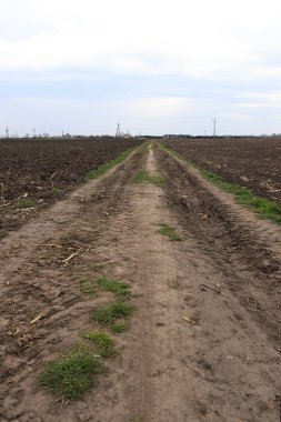 Tarlayı ekime hazırlıyorum. Bahar zamanı sürülmüş toprak.