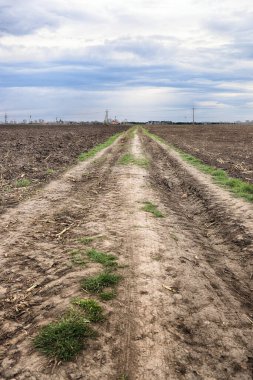 Tarlayı ekime hazırlıyorum. Bahar zamanı sürülmüş toprak.