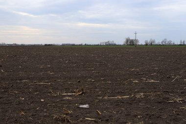 Tarlayı ekime hazırlıyorum. Bahar zamanı sürülmüş toprak.