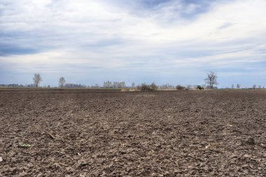 Tarlayı ekime hazırlıyorum. Bahar zamanı sürülmüş toprak.