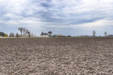 Tarlayı ekime hazırlıyorum. Bahar zamanı sürülmüş toprak.