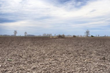 Tarlayı ekime hazırlıyorum. Bahar zamanı sürülmüş toprak.