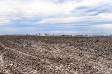 Tarlayı ekime hazırlıyorum. Bahar zamanı sürülmüş toprak.