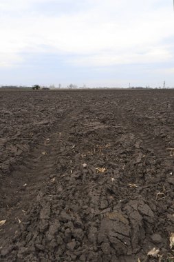 Tarlayı ekime hazırlıyorum. Bahar zamanı sürülmüş toprak.