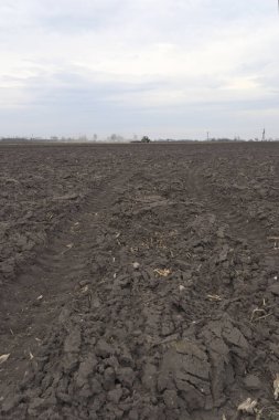 Tarlayı ekime hazırlıyorum. Bahar zamanı sürülmüş toprak.