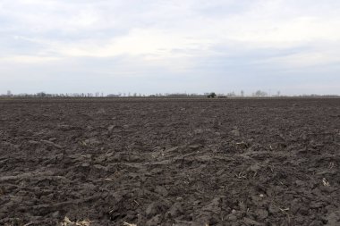 Tarlayı ekime hazırlıyorum. Bahar zamanı sürülmüş toprak.