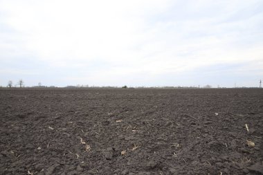 Tarlayı ekime hazırlıyorum. Bahar zamanı sürülmüş toprak.